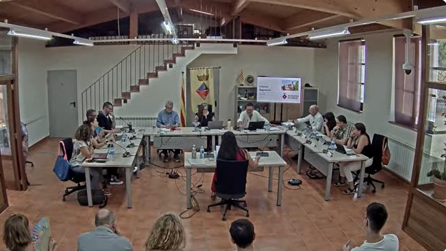 Ple Ordinari 31 de Juliol