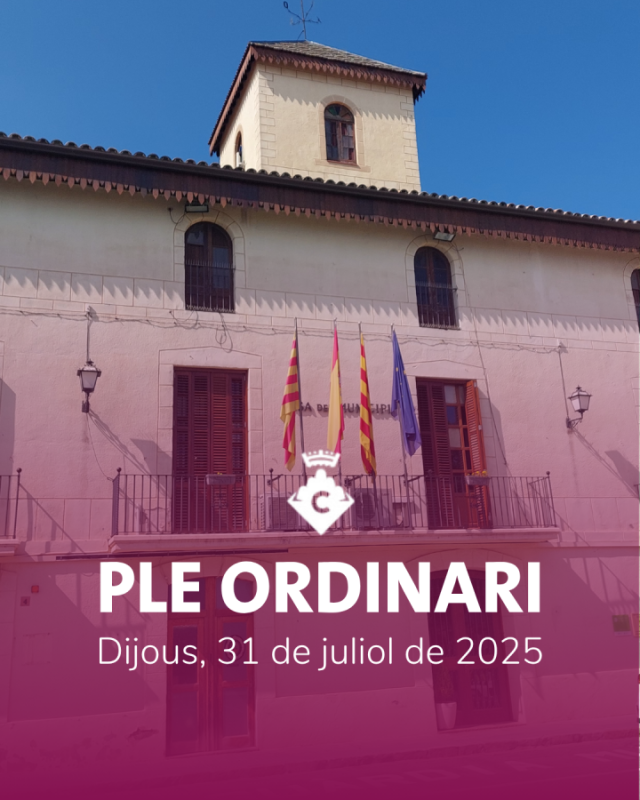 Ple ordinari 31 juliol 2025