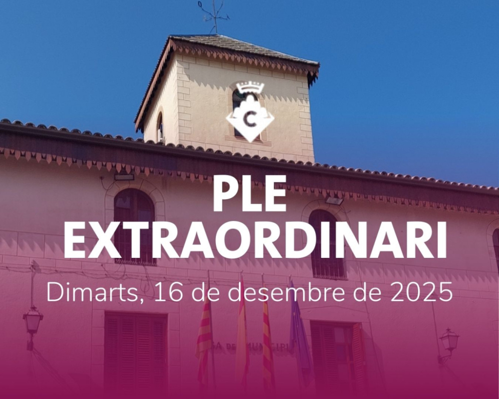 Ple Extraordinari Desembre