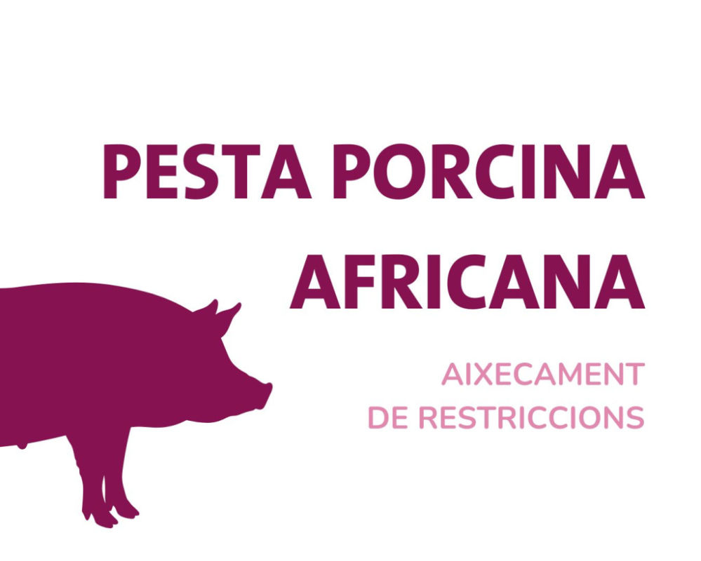 Aixecament restriccions PPA