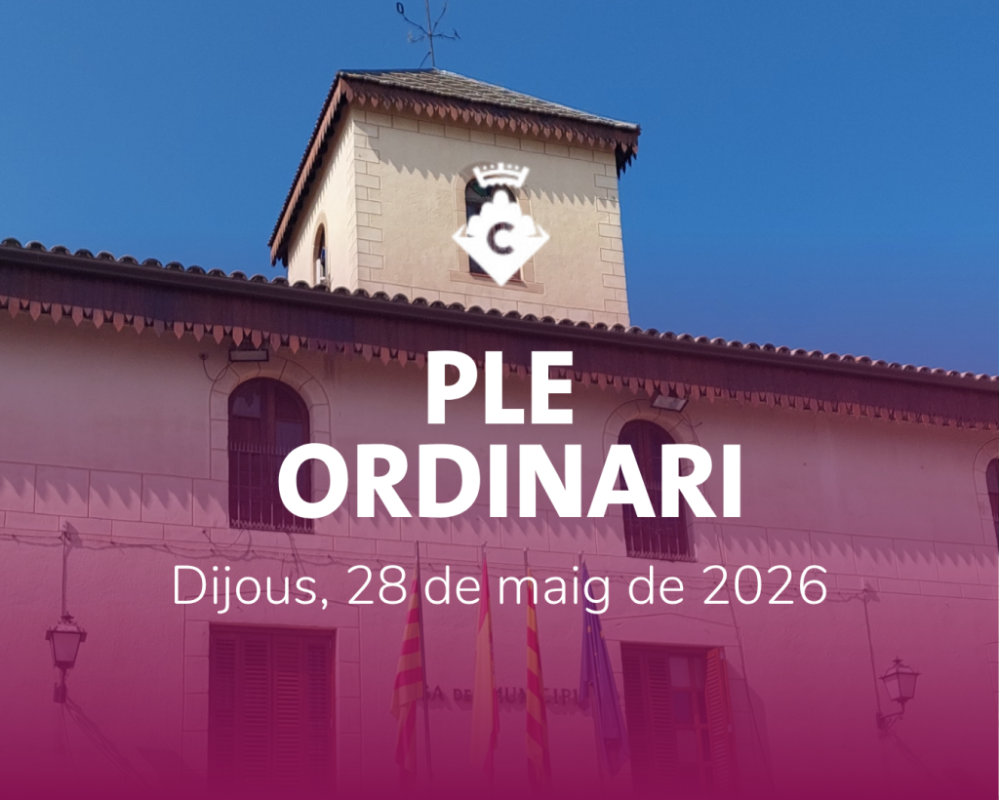 Ple Ordinari Maig