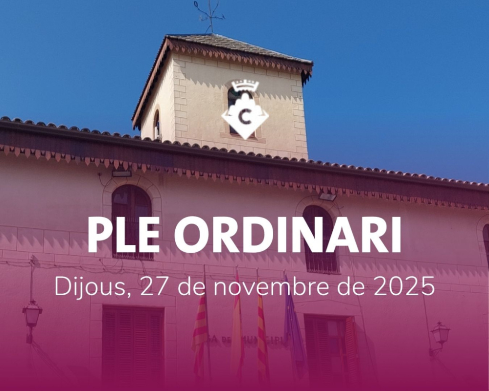 Ple Ordinari Novembre