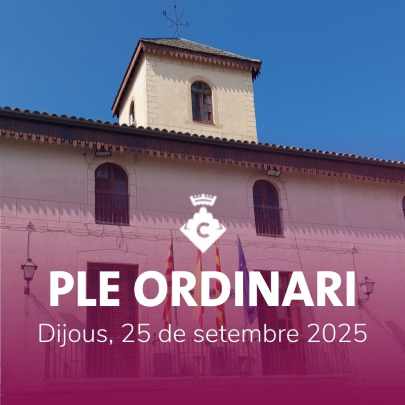 Ple ordinari setembre