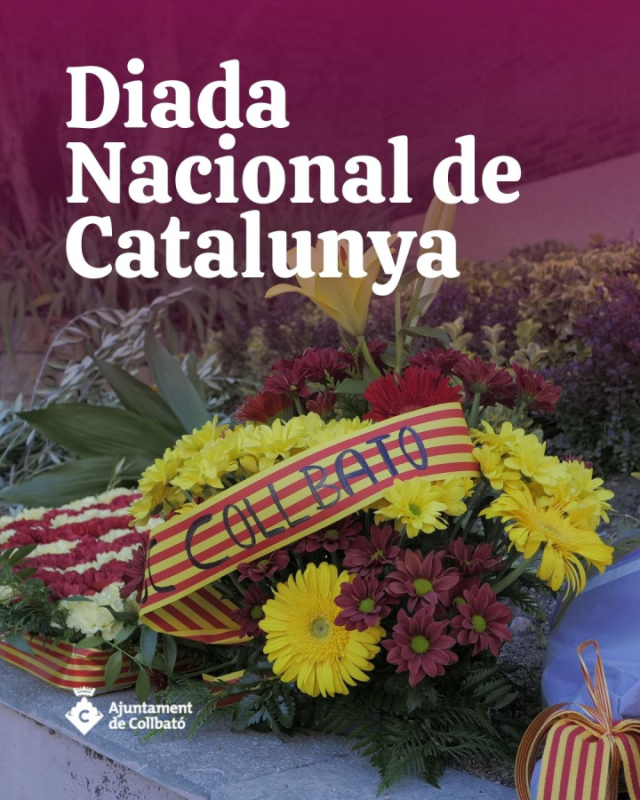 Diada Nacional de Catalunya 2025