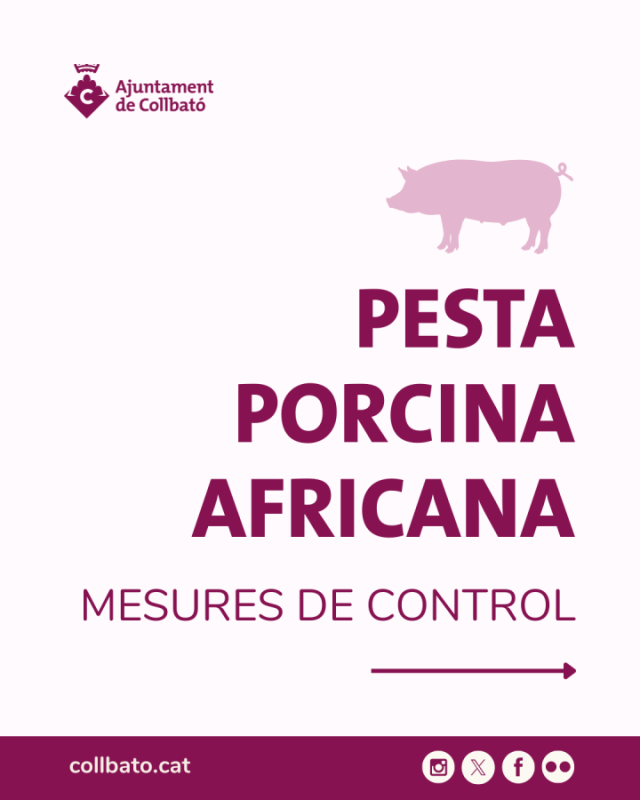 Mesures de Control pesta porcina africana