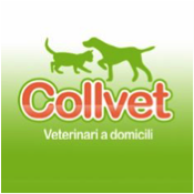 Logotip Collvet