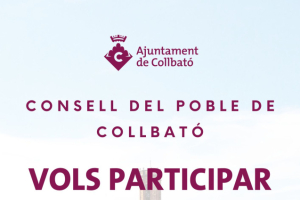 CONSELL DEL POBLE