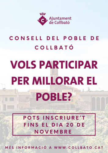 CONSELL DEL POBLE