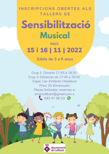 Cartell sensibilització musical