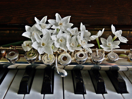 Concert de flauta i orgue