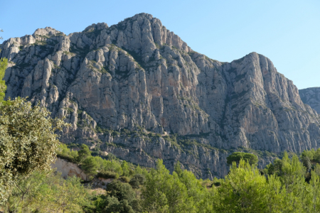 El macís de Montserrat.