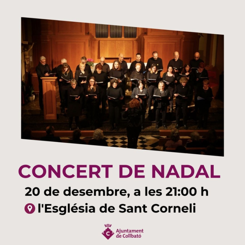 Concert de Nadal